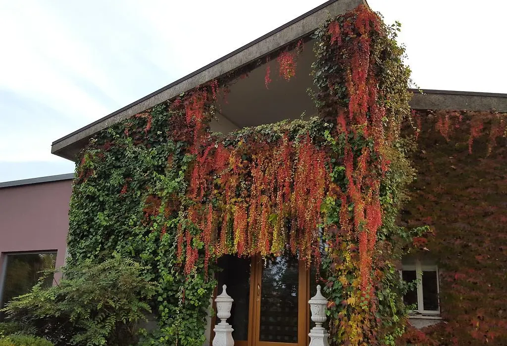 Villa Bedin-1